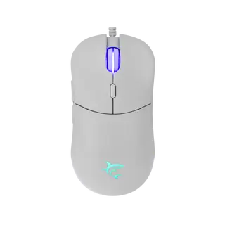 BAGDEMAGUS